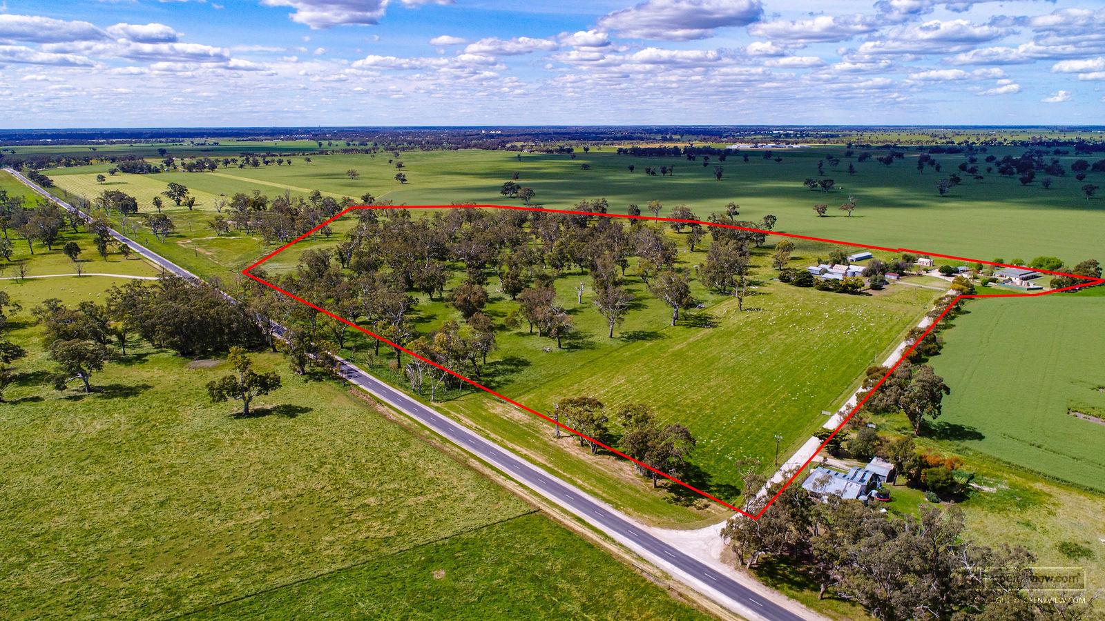 ID784741 Bordertown Open2view